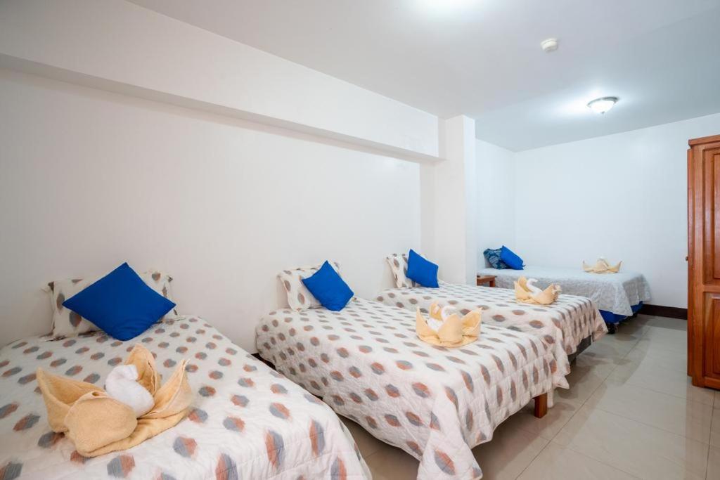 Guest house Tongo Reef 3*