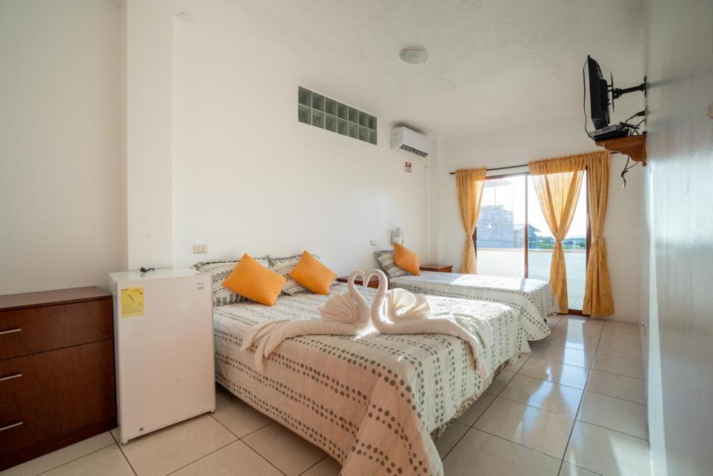 Tongo Reef Guest house